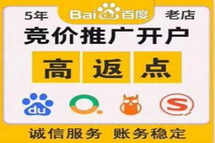 案例分享：百度竞价广告投放策略与效果